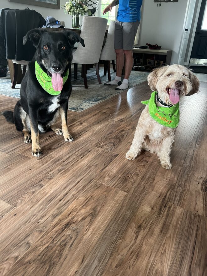 Christmas Dog Bandanas - Image 10